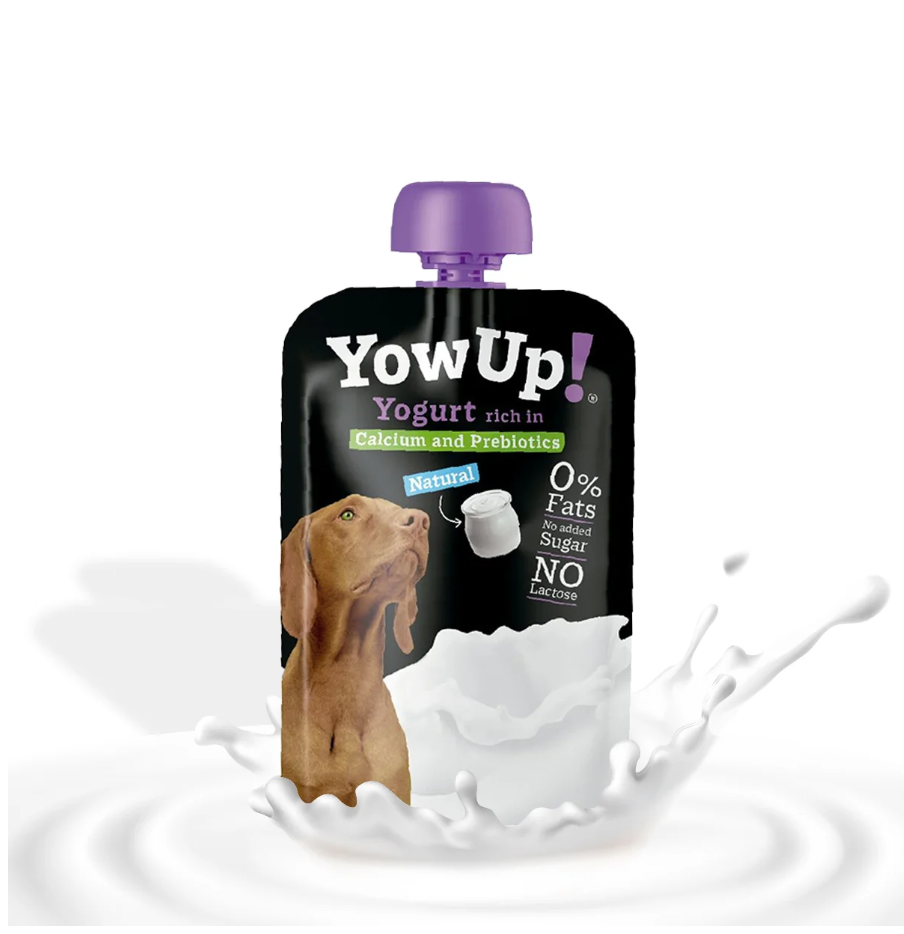 YowUp ! Yaourt prébiotiques naturel pour chiens