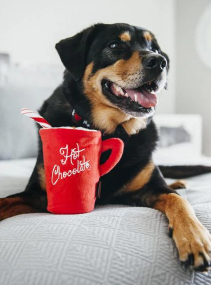 Jouet en peluche pour chien - Chocolat chaud - Holiday Classic - Pet PLAY
