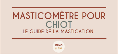 échelle de mastication pour chiot