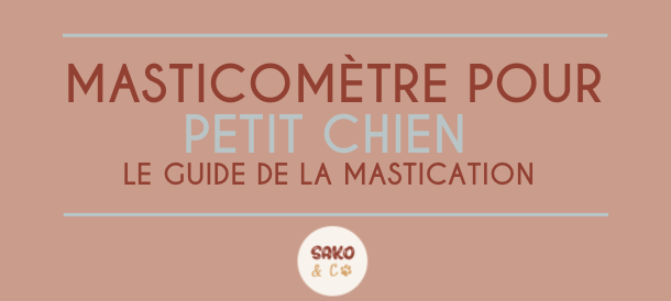 échelle de mastication pour petit chien