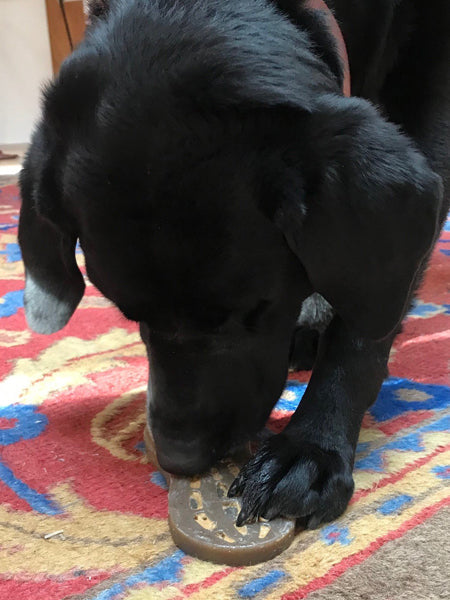 La cacahuète - Jouet à mâcher ou à lécher pour chien - Sodapup