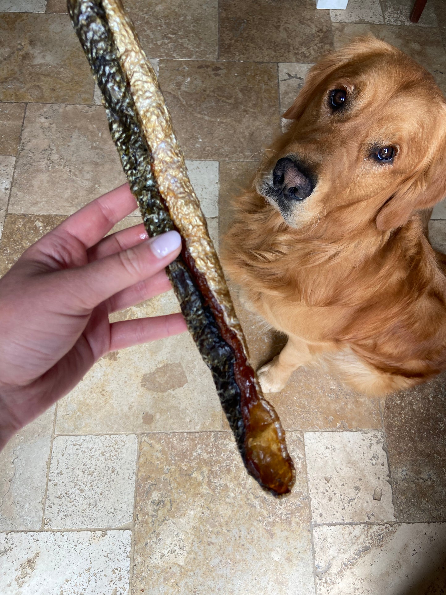 Vidéo saumon avec chair français friandise naturelle pour chien