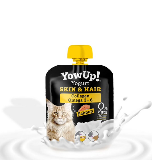 YowUp - Yaourt peau et pelage pour chats - Saumon