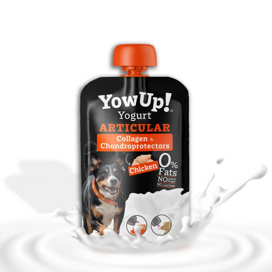 YowUp ! Yaourt articulation poulet pour chien