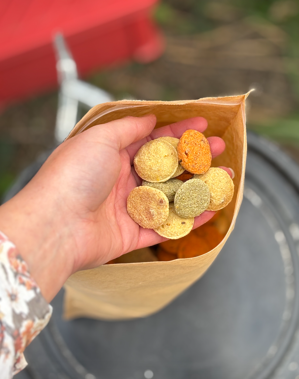 MIX FRIANDISES CHEVAL – Naturelles et sans sucre ajouté