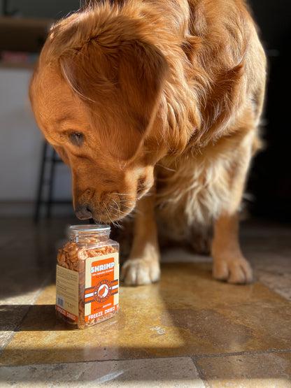 friandise lyophilisée crevette parfait pour l'entrainement de nos chiens et nos chats