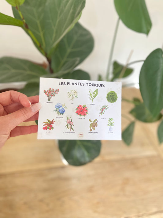 Affiche "Les plantes toxiques"