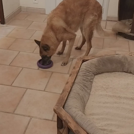 Lickimat Ufo bol de léchage pour chien et chat