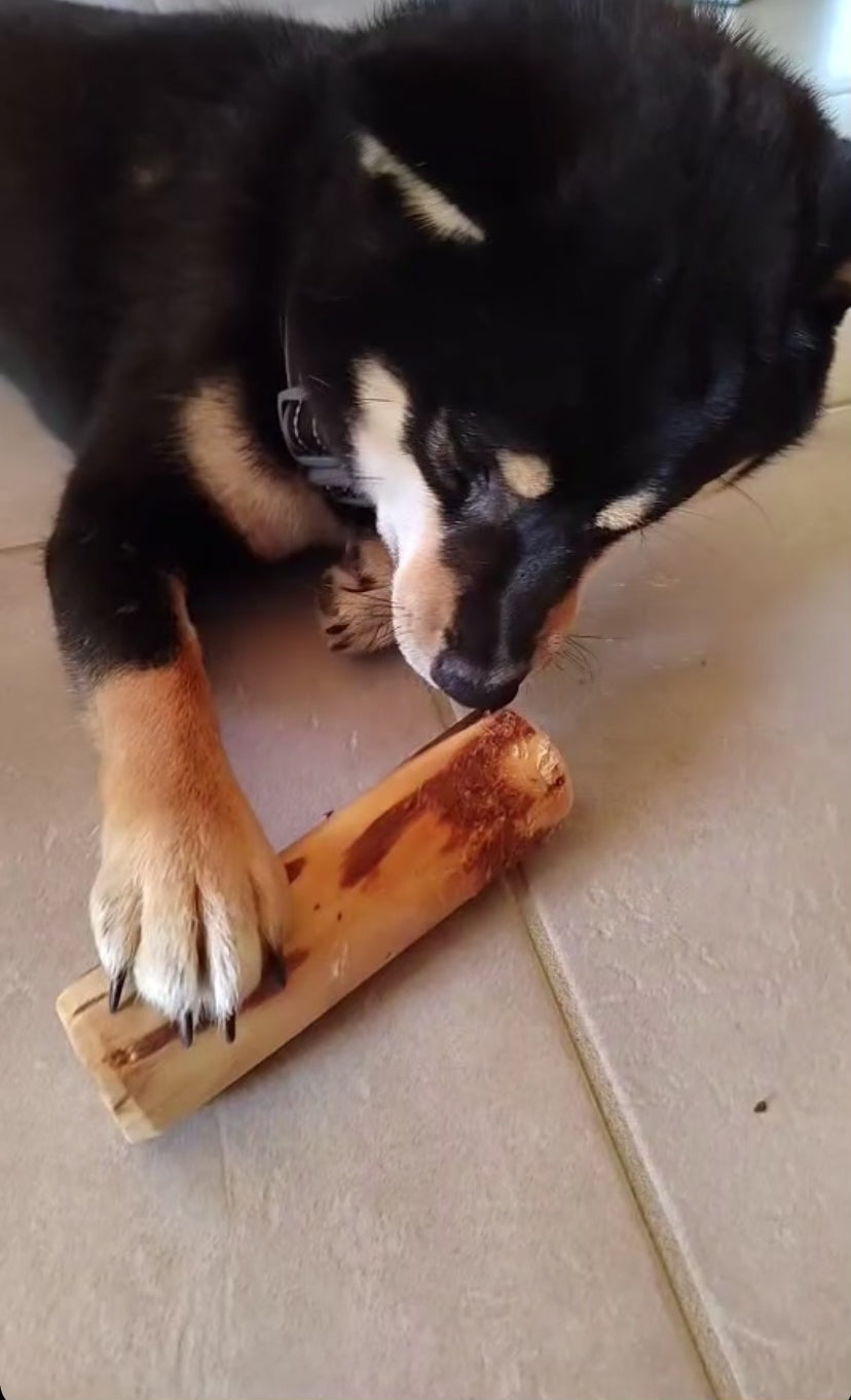 vidéo retour client bois d'olivier pour la mastication chien