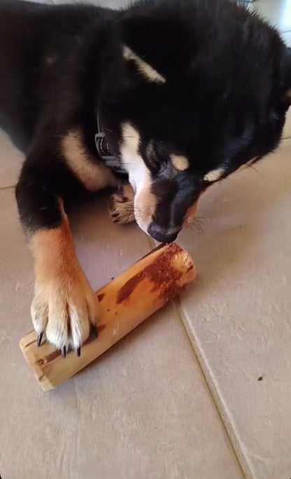 vidéo retour client bois d'olivier pour la mastication chien