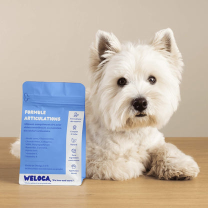 WELOCA Joint Formula - Dog - 3 months treatment