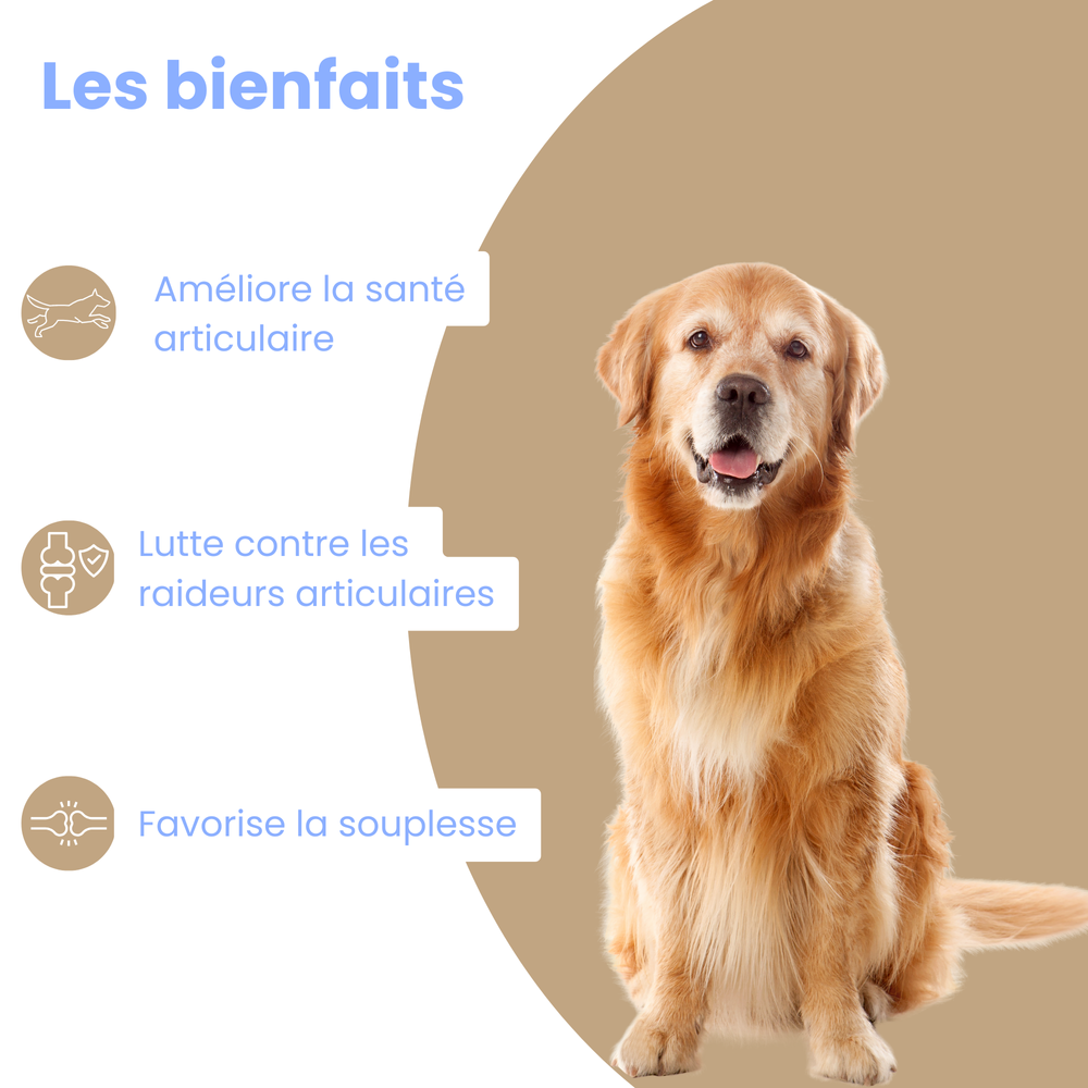 WELOCA Formule Articulations - Chien - 3 mois de traitement