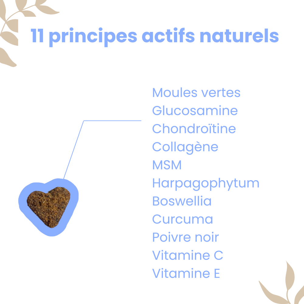 WELOCA Formule Articulations - Chien - 3 mois de traitement