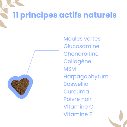 WELOCA Joint Formula - Hond - 3 Méint Behandlung