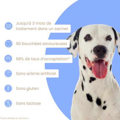 WELOCA Formule Articulations - Chien - 3 mois de traitement