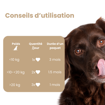 WELOCA Formule Articulations - Chien - 3 mois de traitement