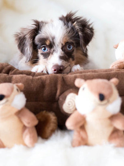 Bûche Ecureuils 🐿️ - Jouet d'occupation pour chien original - ZippyPaws